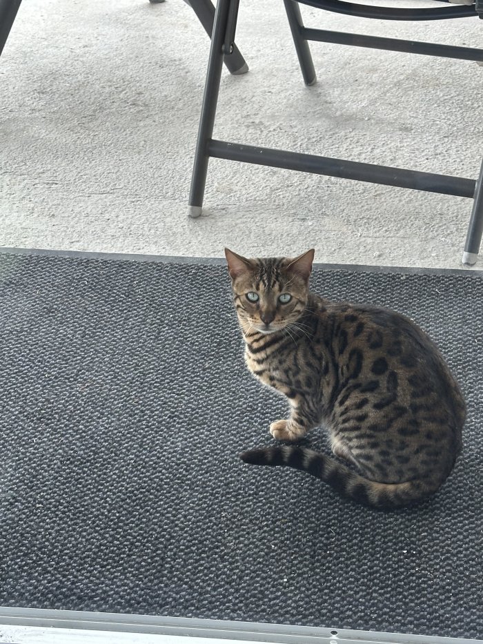 SKY / BUBI 251105-075158